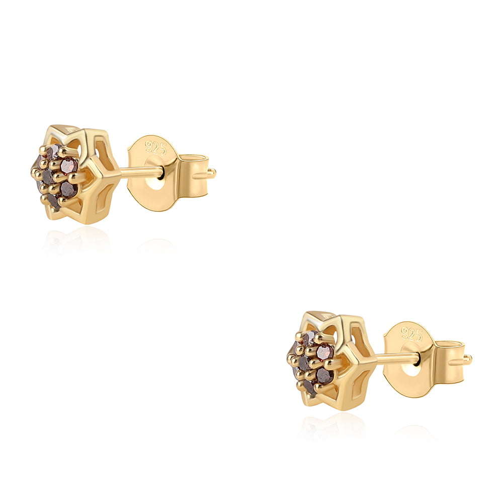 Goldplattierte Silberohrringe mit rotem Diamant 5