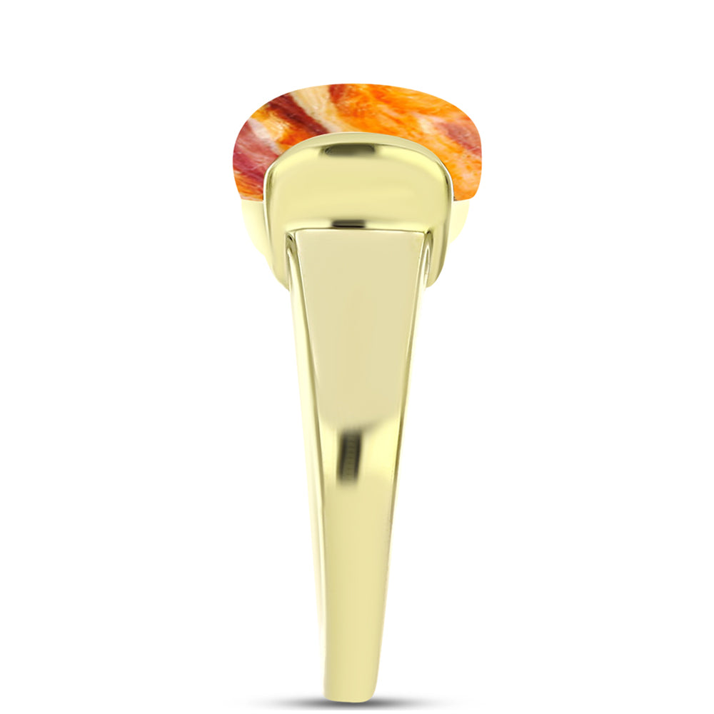 Goldplattierter Silberring mit Löwenpfoten-Jaspis