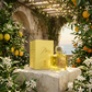 100 ml Eau de Perfume Oriental BLACKROOT Aevum (TOP: BERGAMOT, LIME, LEMON, BITTER ORANGE; MIDDLE: JASMINE, ROSE, VIOLET, FRUITY; BASE: PATCHOULI, MUSK, ANIMALIC)