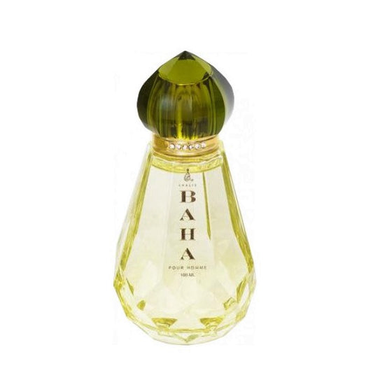 100 ml Eau de Parfum Baha Frischer Zitrusduft Amber  und Hölzerduft für Männer