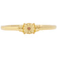 schmuckgarnitur aus Goldplattierte Silber mit rotem Diamant