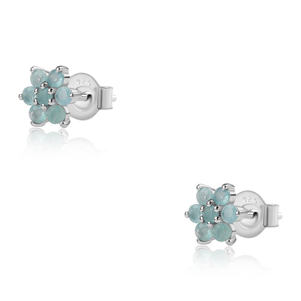 Silberohrringe mit Grandidierit 1 