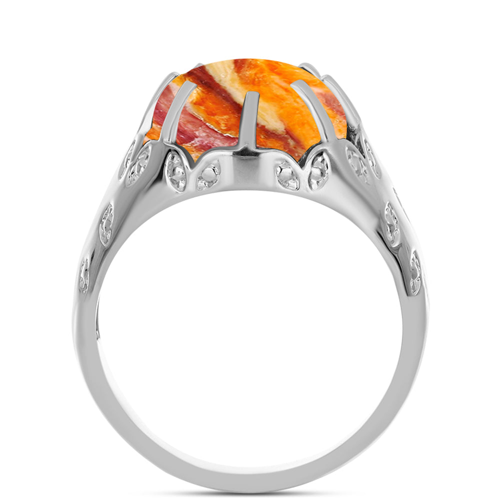 Silberring mit Löwenpfoten-Jaspis