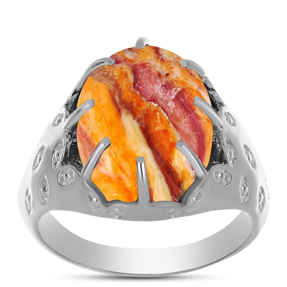 Silberring mit Löwenpfoten-Jaspis