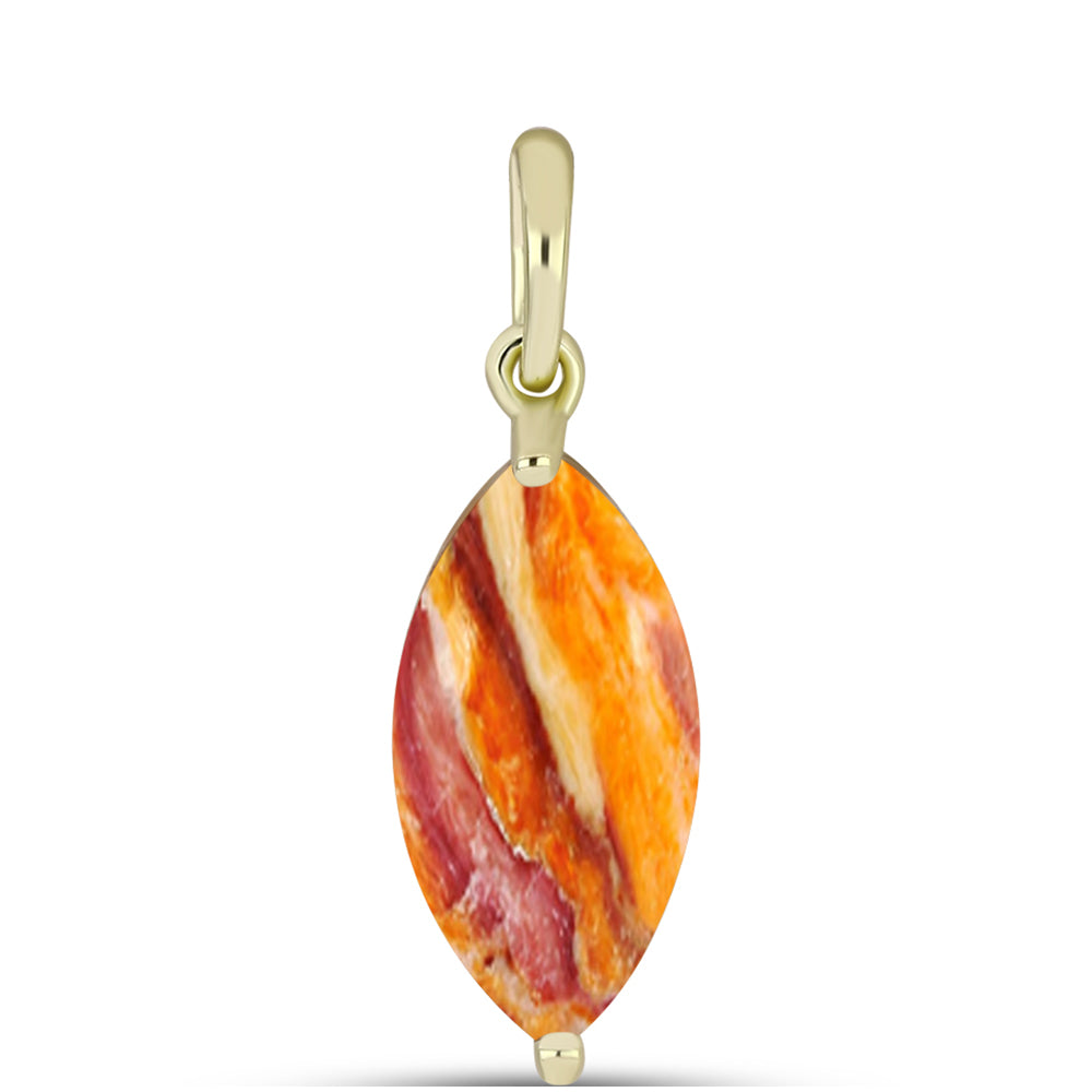 Goldplattierter Silberanhänger mit Löwenpfoten-Jaspis 1 