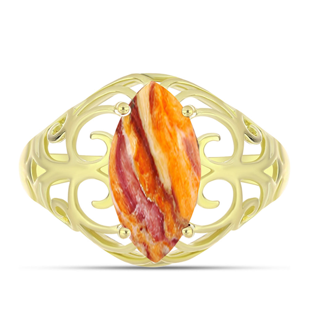 Goldplattierter Silberring mit Löwenpfoten-Jaspis 1 