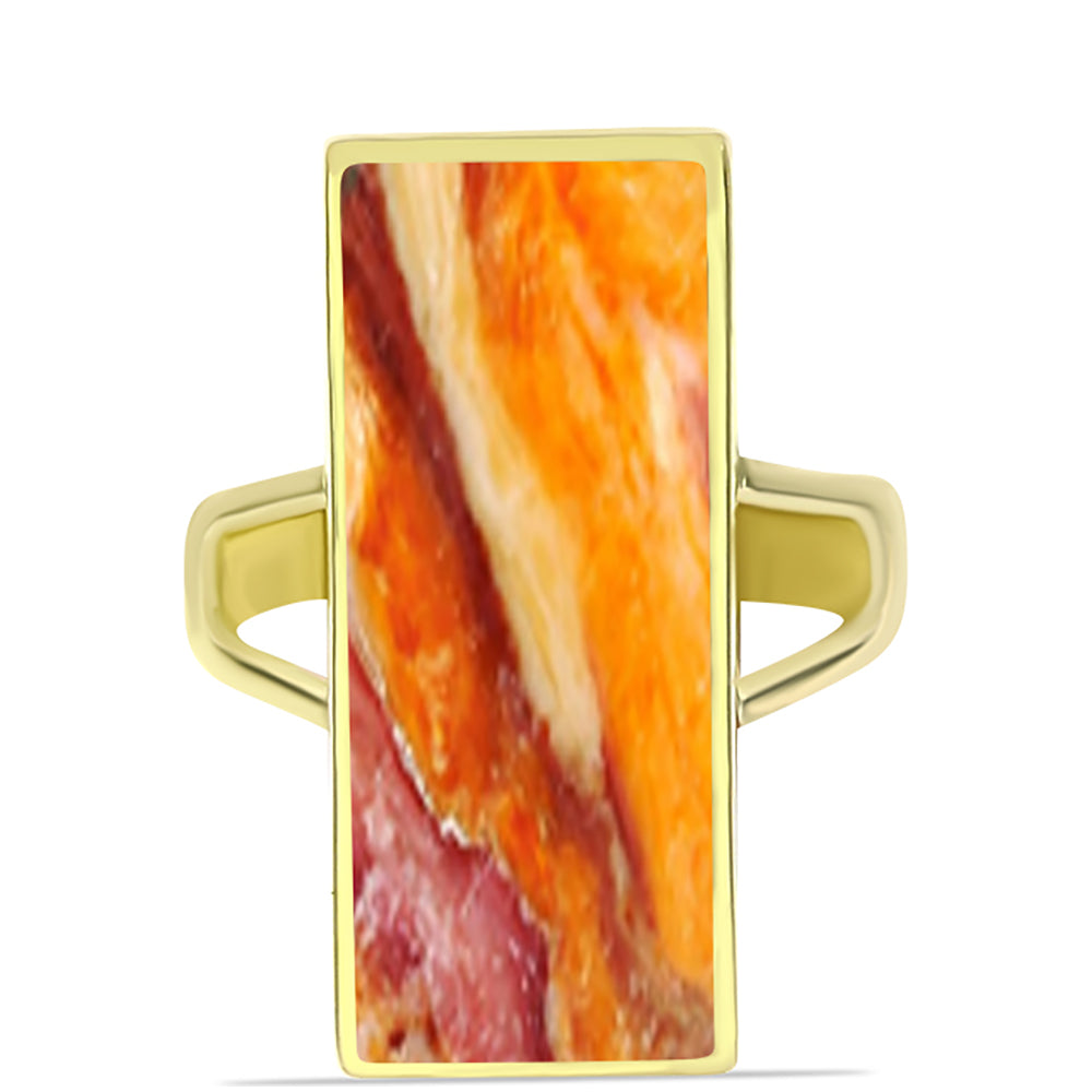 Goldplattierter Silberring mit Löwenpfoten-Jaspis 1 