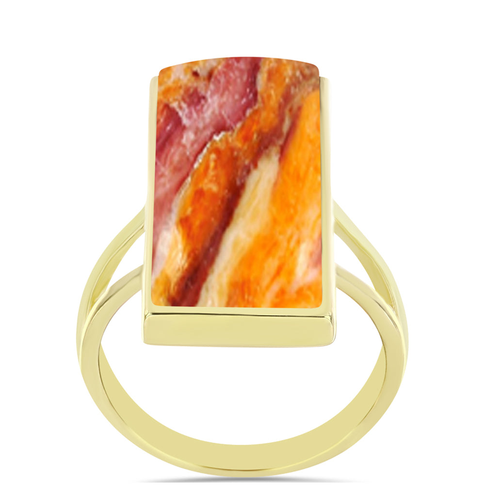 Goldplattierter Silberring mit Löwenpfoten-Jaspis 3 