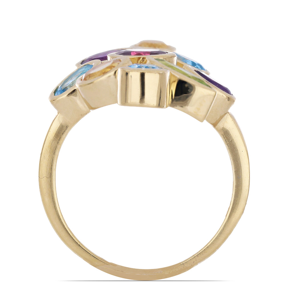 Goldplattierter Silberring mit Amethyst aus Vera Cruz und Rhodolith aus Moatize 3 