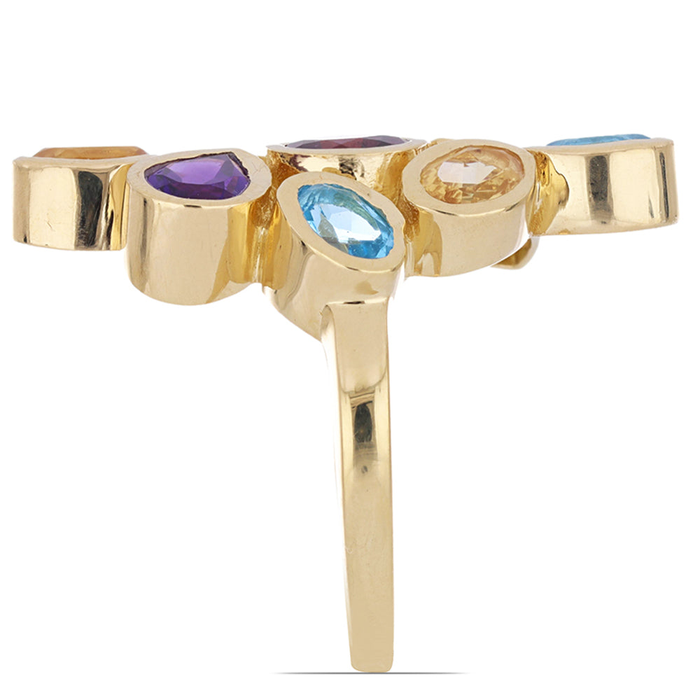 Goldplattierter Silberring mit Amethyst aus Vera Cruz und Rhodolith aus Moatize