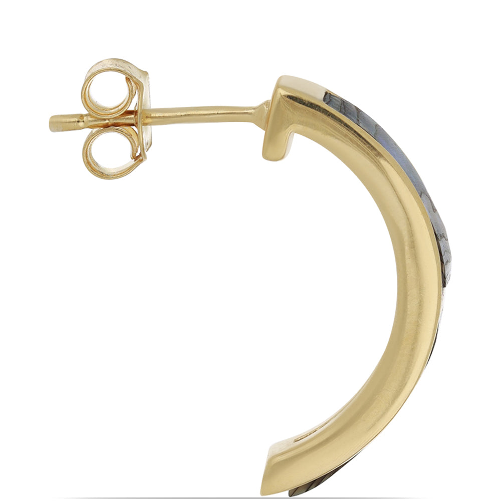 Goldplattierte Silberohrringe mit Paua Muschel 2 
