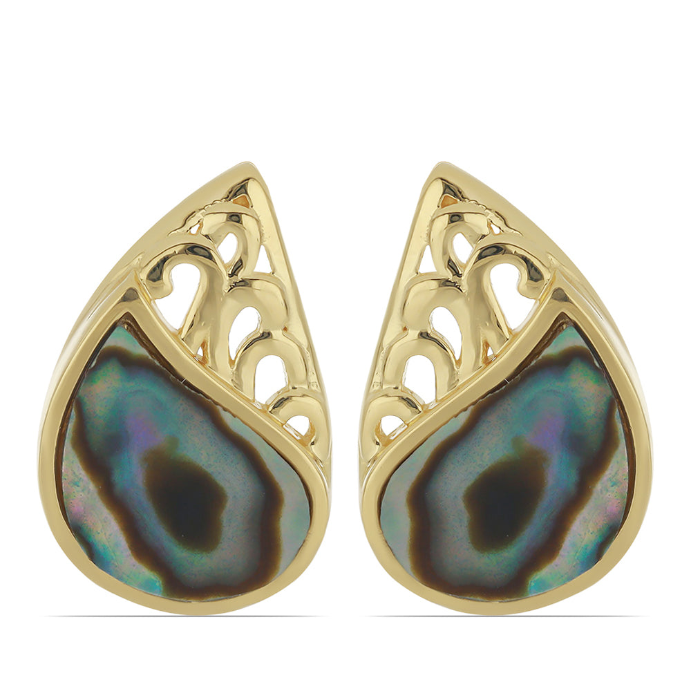 Goldplattierte Silberohrringe mit Paua Muschel 1 