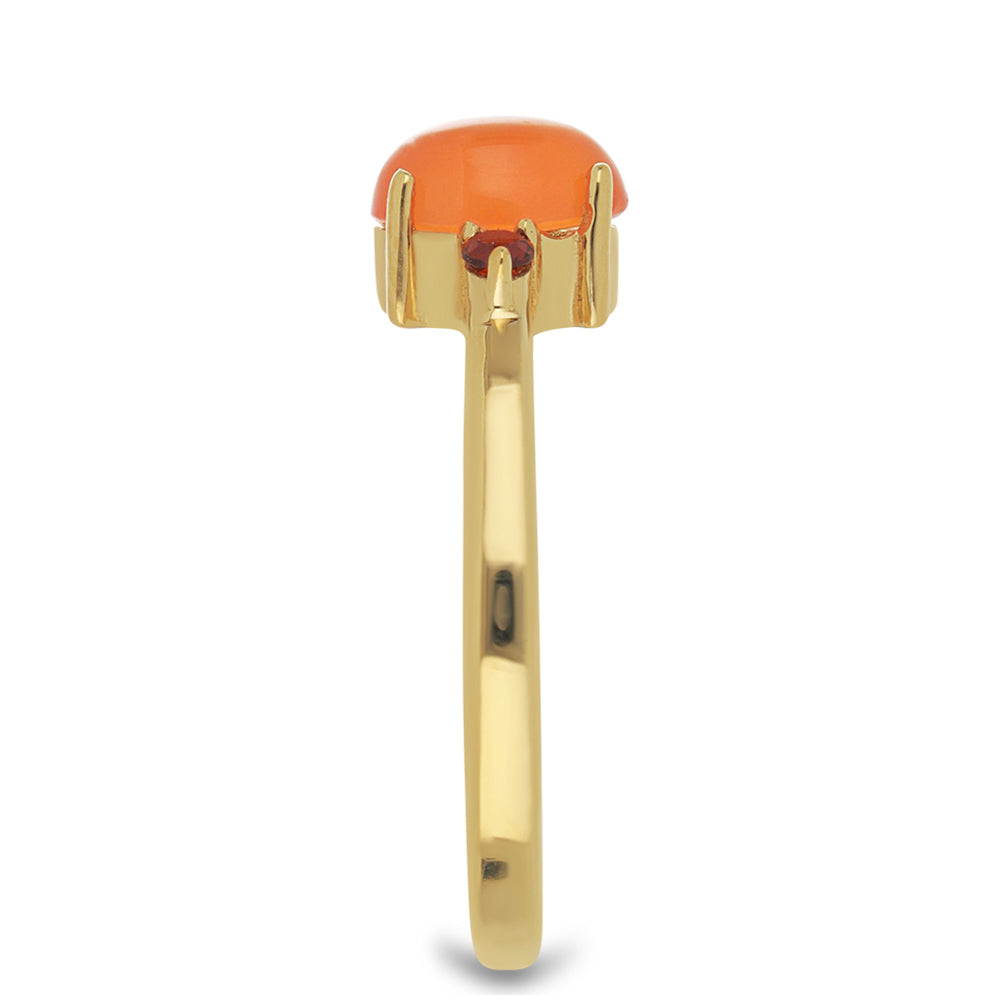 Goldplattierter Silberring mit Karneol und Barton Granat