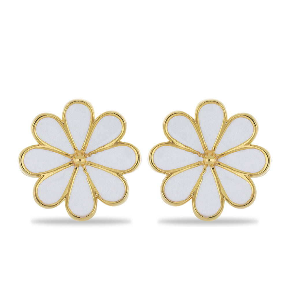 Goldplattierte Silberohrringe mit Emaille 1 